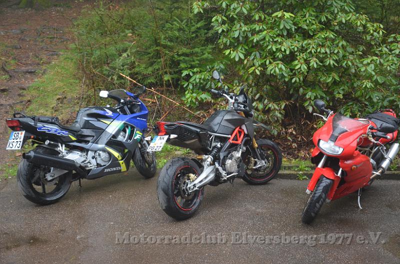 Schwarzwald 2013 - 041.JPG